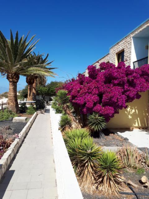 Maravilla Bungalows El Cotillo  Bagian luar foto